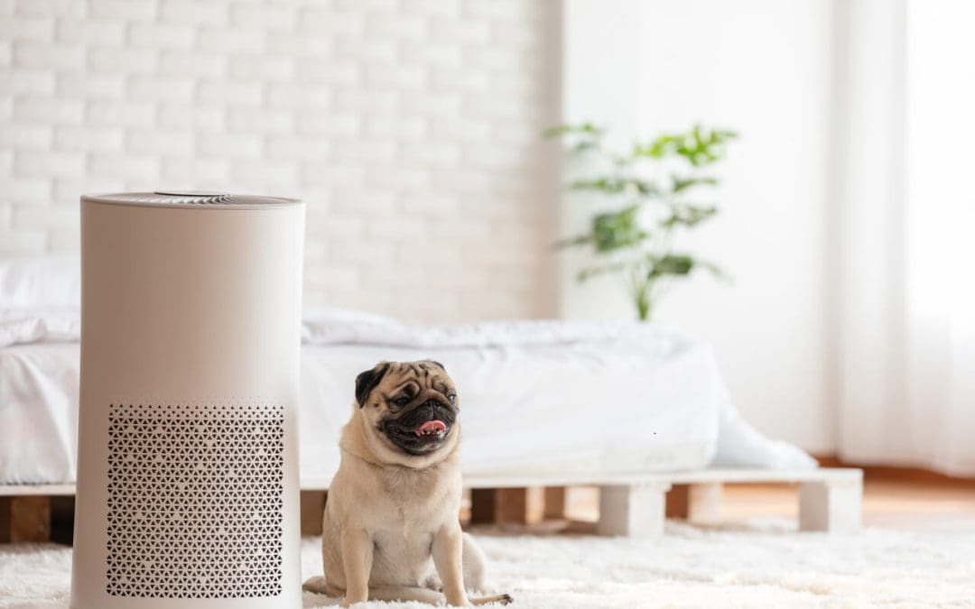 8 Tips to Boost Wellness at Home