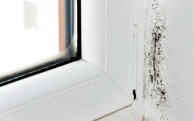 Prevent Mold Before It Starts: Simple Ways to Keep Your Home Healthy