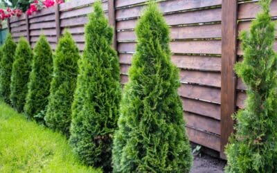 Smart Steps to Planning Your New Fence: A Homeowner’s Guide